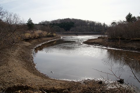 1127-4.jpg