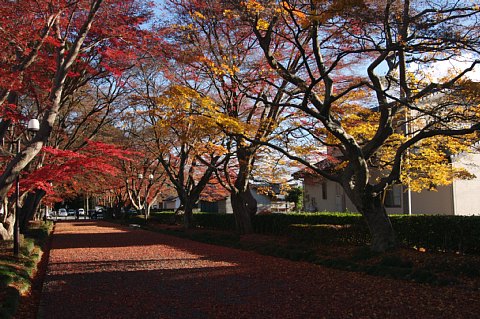1205-2.jpg