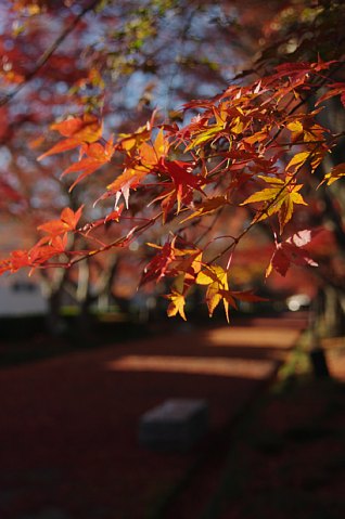 1205-8.jpg