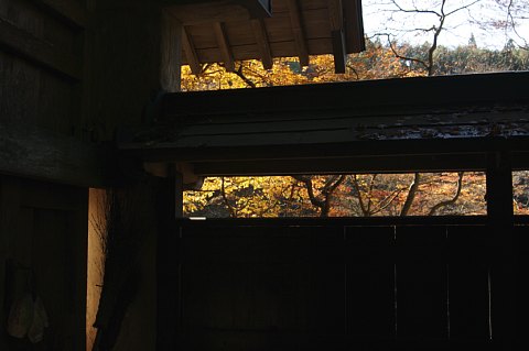 1206-6.jpg