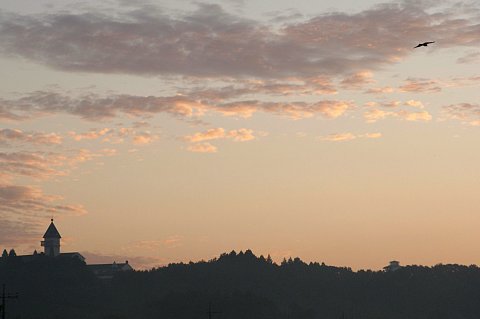 0104-3.jpg