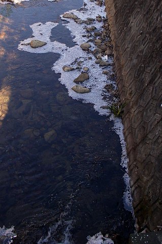 0113-1.jpg