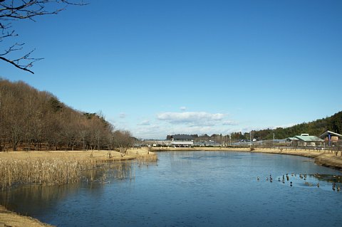 0113-2.jpg