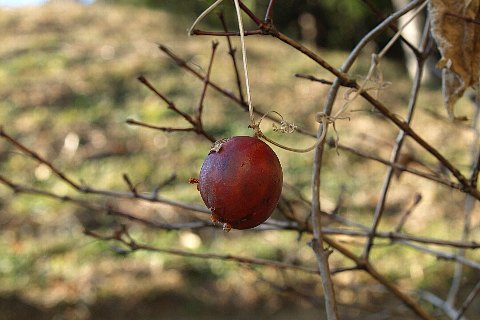 0114-2.jpg