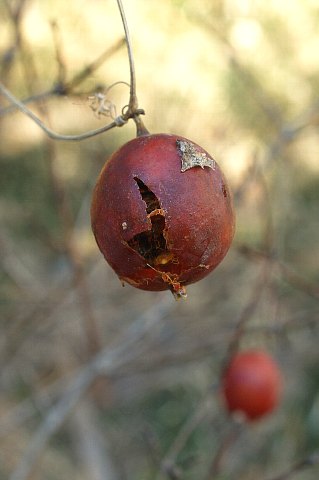 0114-3.jpg