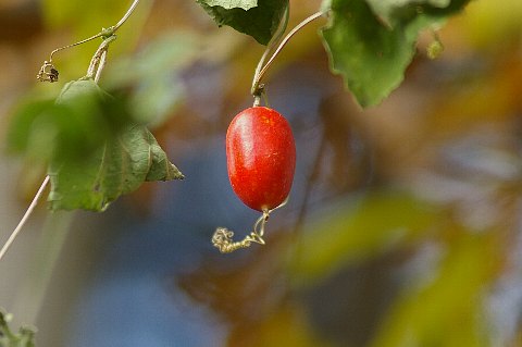 0114-4.jpg