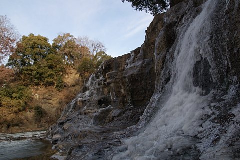 0115-7.jpg