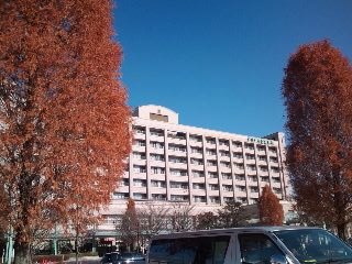 1212-1.jpg