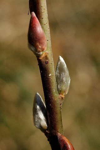 0126-2.jpg