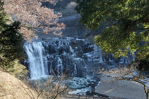 0128-6.jpg