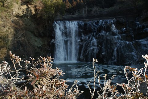 0128-5.jpg