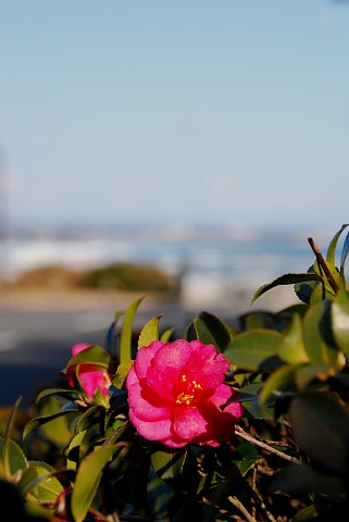0130-4.jpg