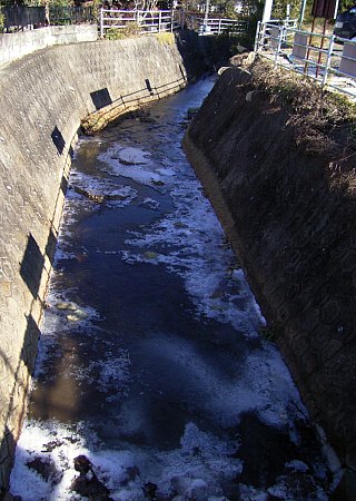 0131-1.jpg