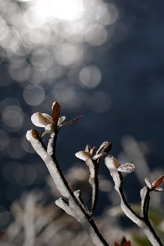 0131-7.jpg
