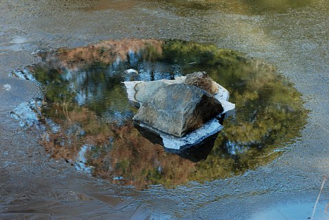 0131-2.jpg