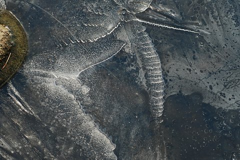 0131-6.jpg