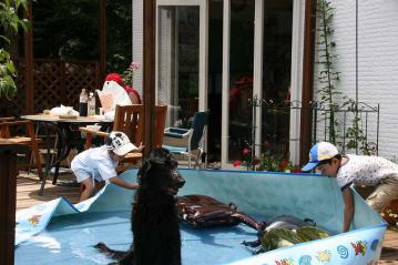 20060806- (6)