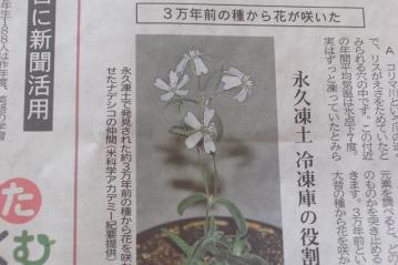 新聞記事