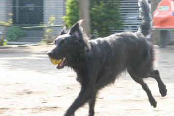 CRW_1441_RJ.jpg