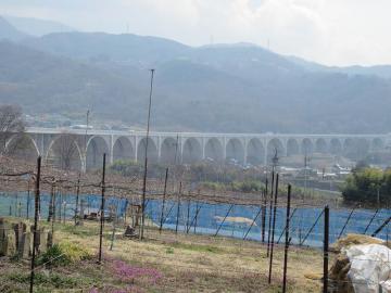 ローマン橋