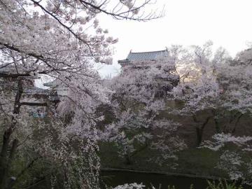 上田公園1