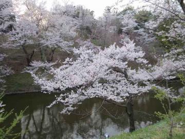 上田公園2