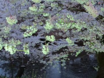 上田公園4