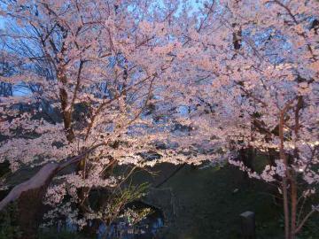 上田公園5