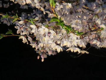 上田公園6