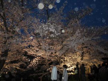 上田公園7