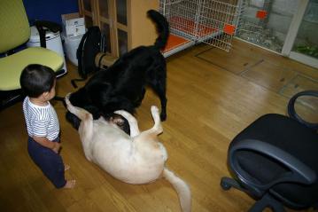 IMG_0882.jpg