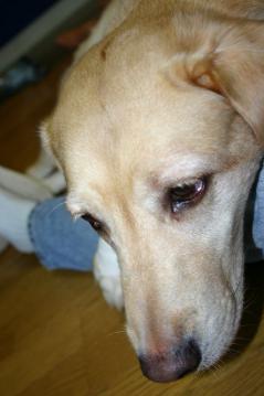 IMG_1159.jpg