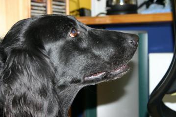 IMG_1177.jpg