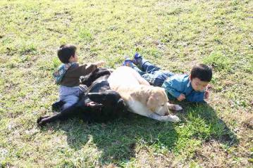 IMG_2153.jpg
