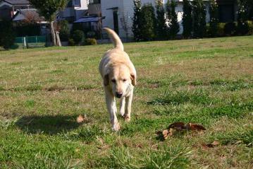 IMG_2194.jpg