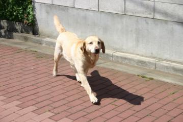IMG_4738.jpg