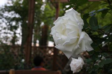 IMG_5095.jpg