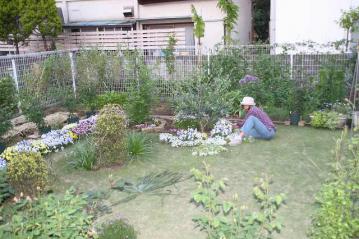 IMG_5116.jpg