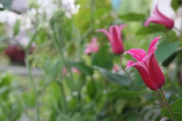 IMG_5735.jpg