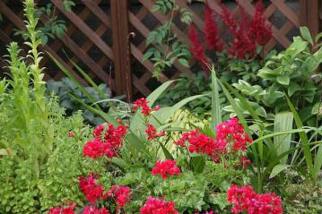 IMG_5769.jpg