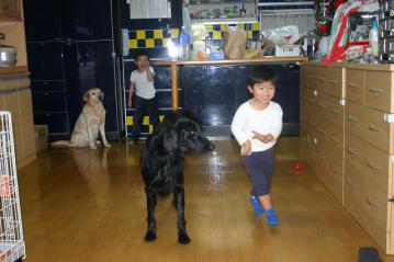 IMG_6345.jpg
