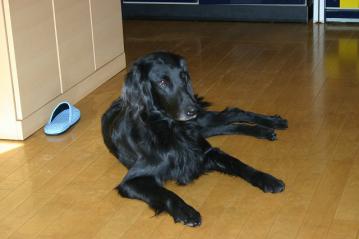 IMG_6897.jpg