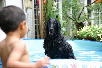 IMG_8615.jpg