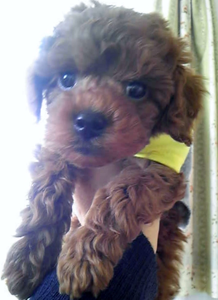 120406_123409.jpg