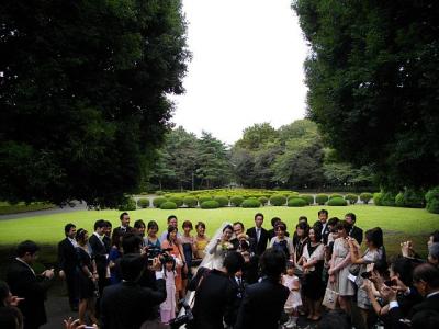 お登さん13