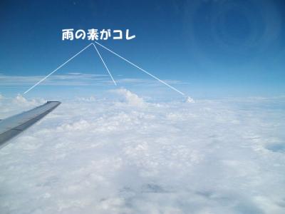 お登さん23