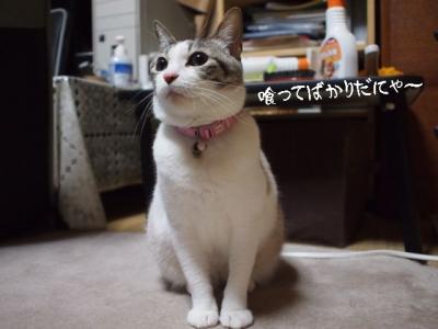 チームK04
