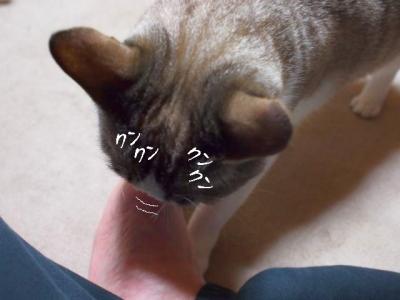 タンス嬢07