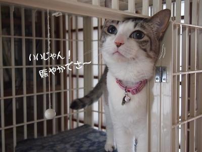 ボク出来たよ05