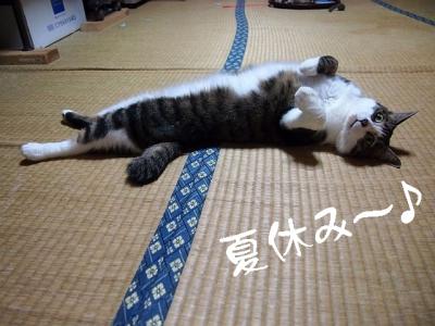 夏休み01